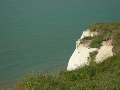 Cliquez pour voir l'image en taille relle