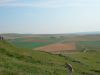 DSCN1097.jpg