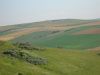 DSCN1100.jpg