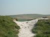 DSCN1115.jpg