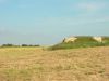 DSCN1130.jpg