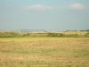 DSCN1144.jpg