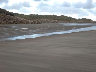 Cliquez pour voir l'image en taille relle